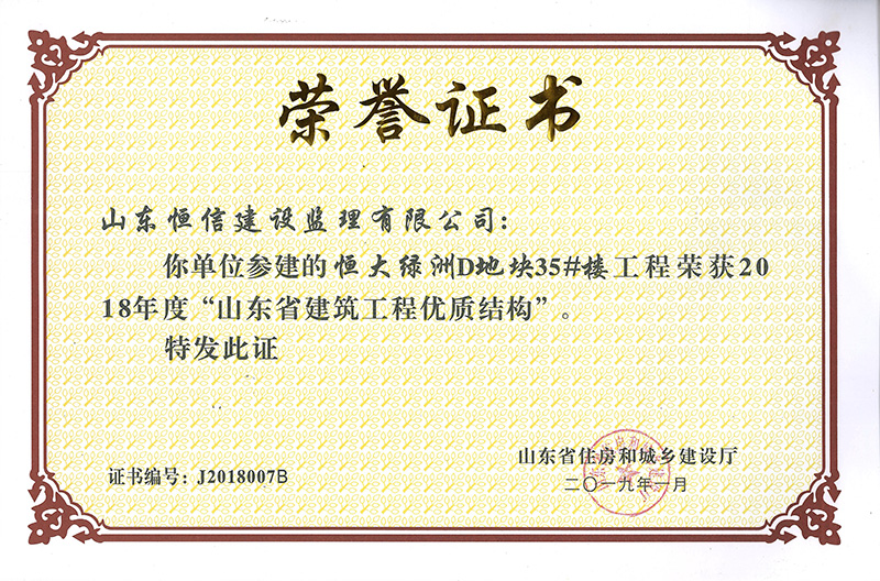 恒大綠洲D地塊35#樓-2018年度省優(yōu)質結構